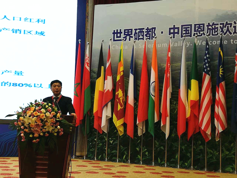 米兰在线官网-米兰(中国)受邀参加2017国际茶业大会  集团董事长毛立民获奖