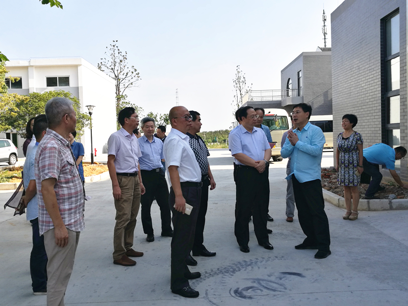 杭州市副市长王宏一行莅临米兰在线官网-米兰(中国)特种茶中心调研余杭区茶产业茶博园项目