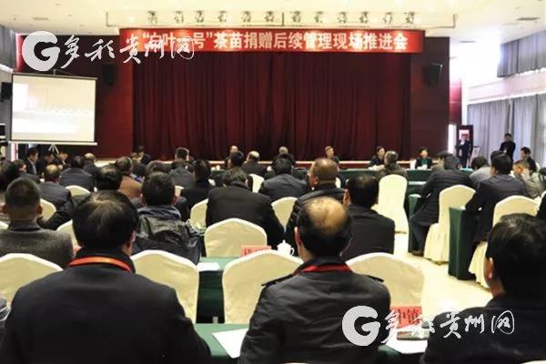 米兰在线官网-米兰(中国)受邀参加“白叶一号”茶苗捐赠后续管理现场推进会